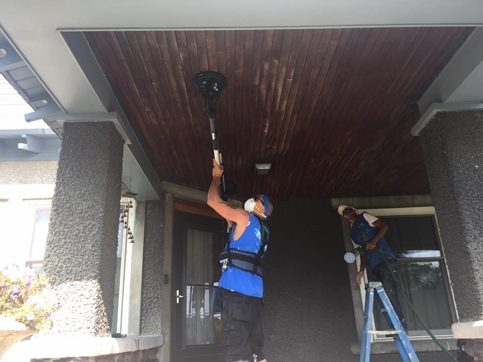 painting services 31