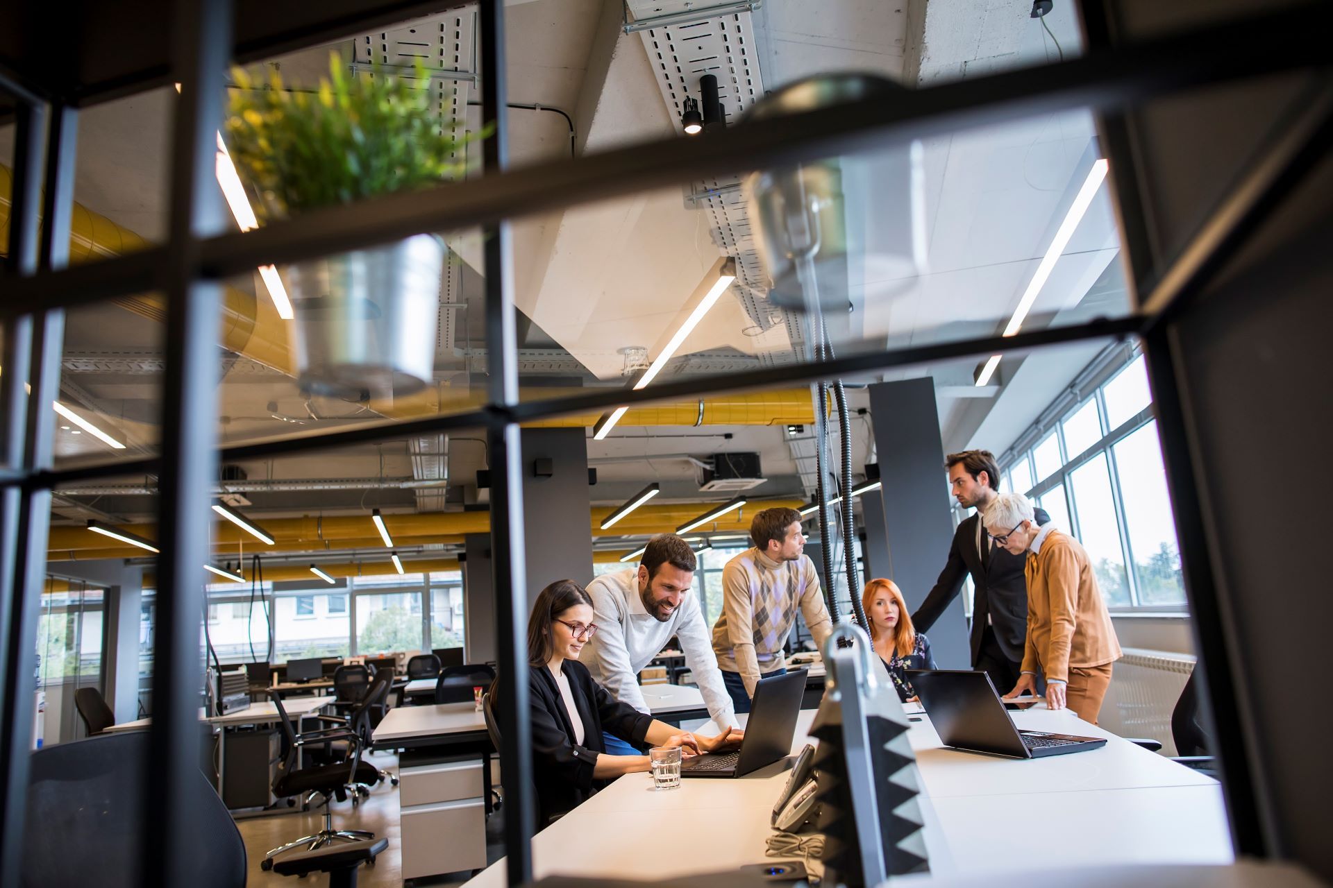 A group of people are working on laptops in an office.