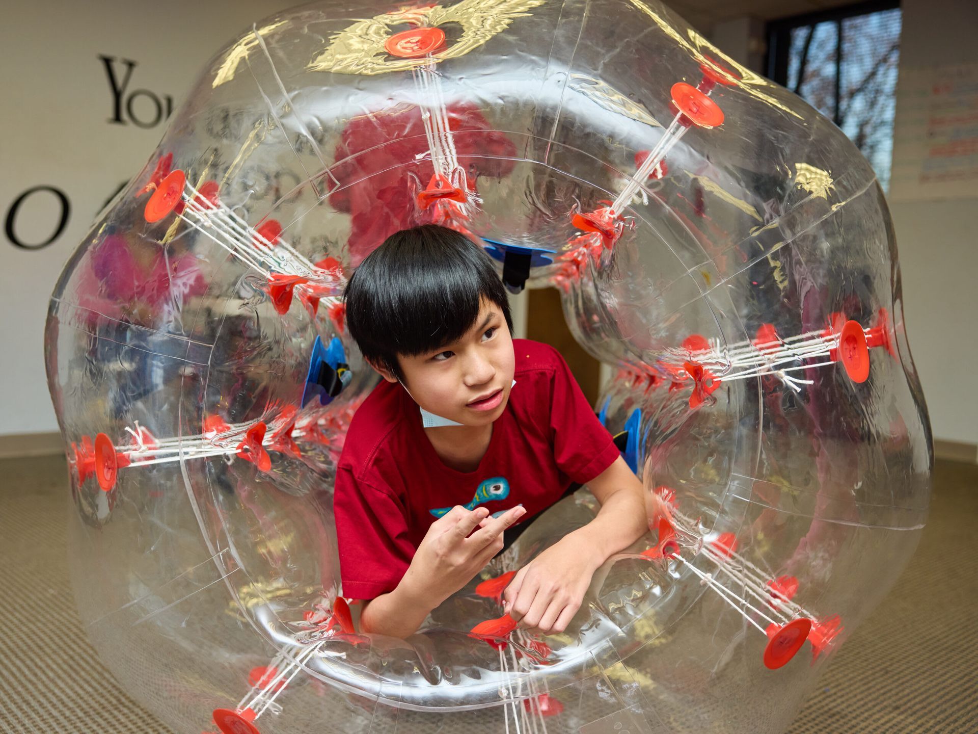 Boy inside a bubble ball, arms out, red shirt, indoors.