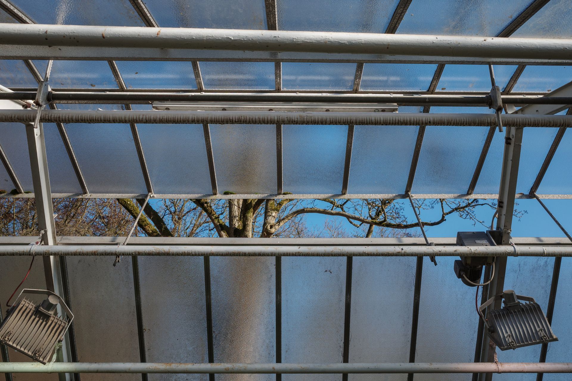 Greenhouse ceiling with metal supports and translucent panels, view of trees and sky.
