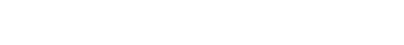 30 years of business service - 1996 - 2026