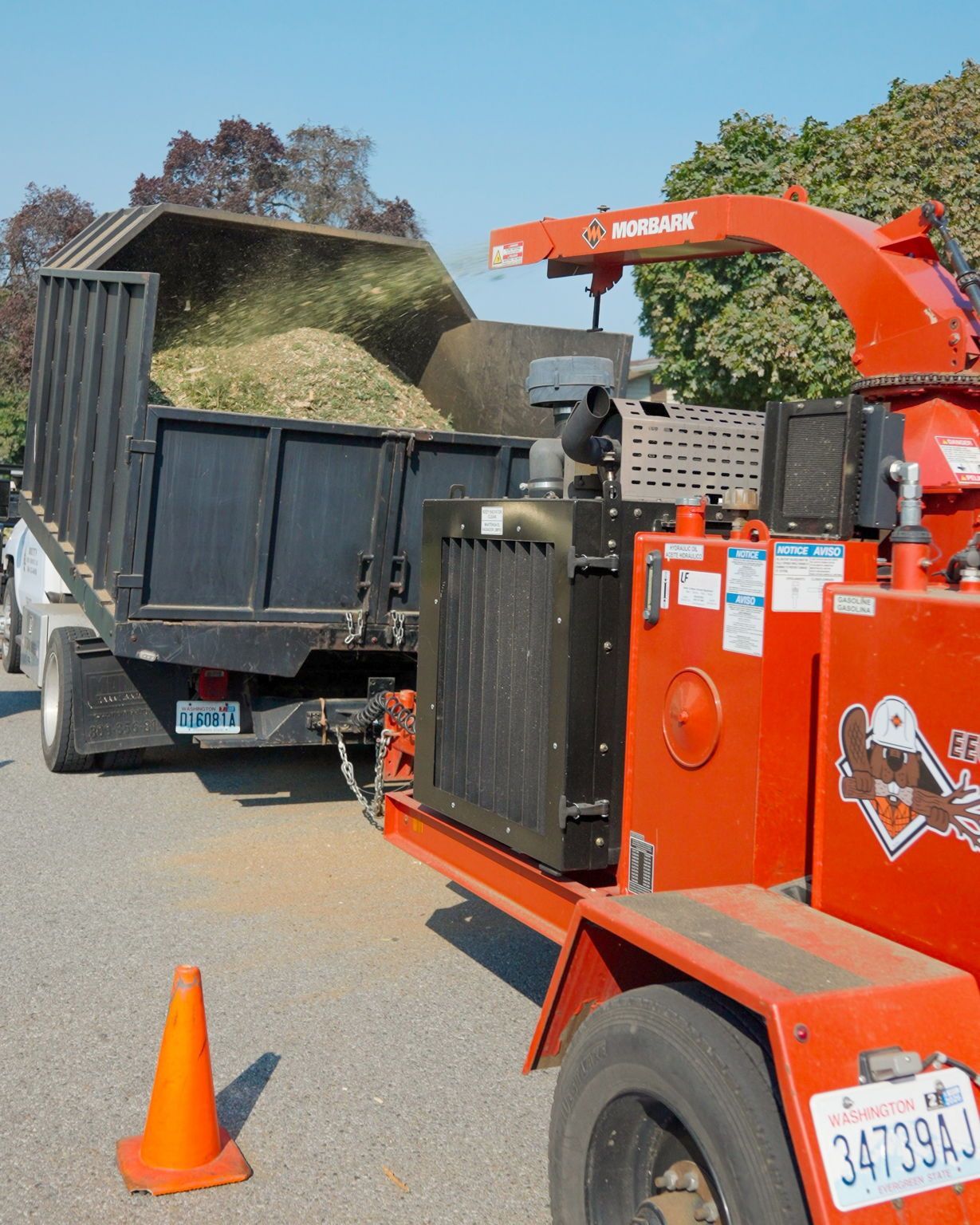 Orange wood chipper depositing wood chips into a black truck bed.