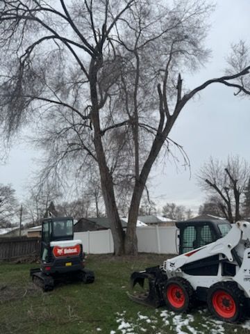 A Bobcat mini-excavator and a skid-steer loader parked on a lawn in front of a large, leafless tree under a cloudy sky.