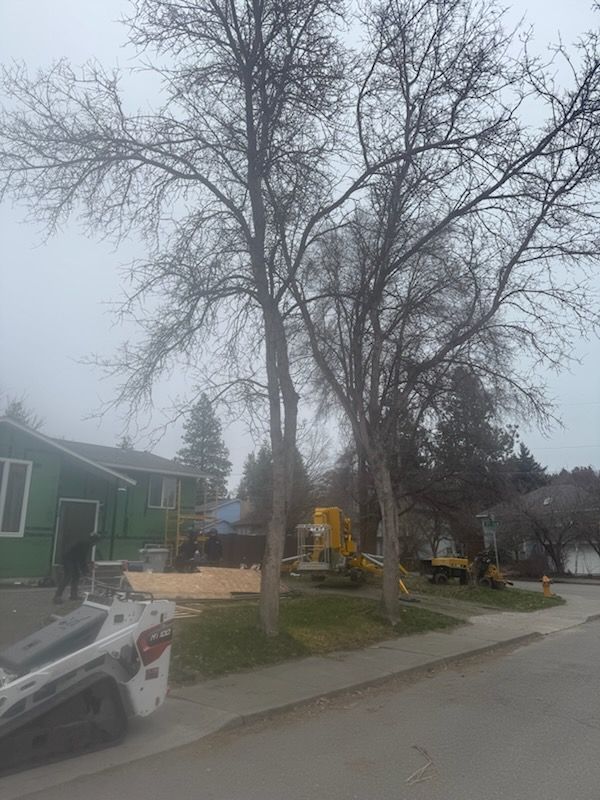 A construction site with a green house, a Bobcat machine in the foreground, and heavy equipment near large trees.