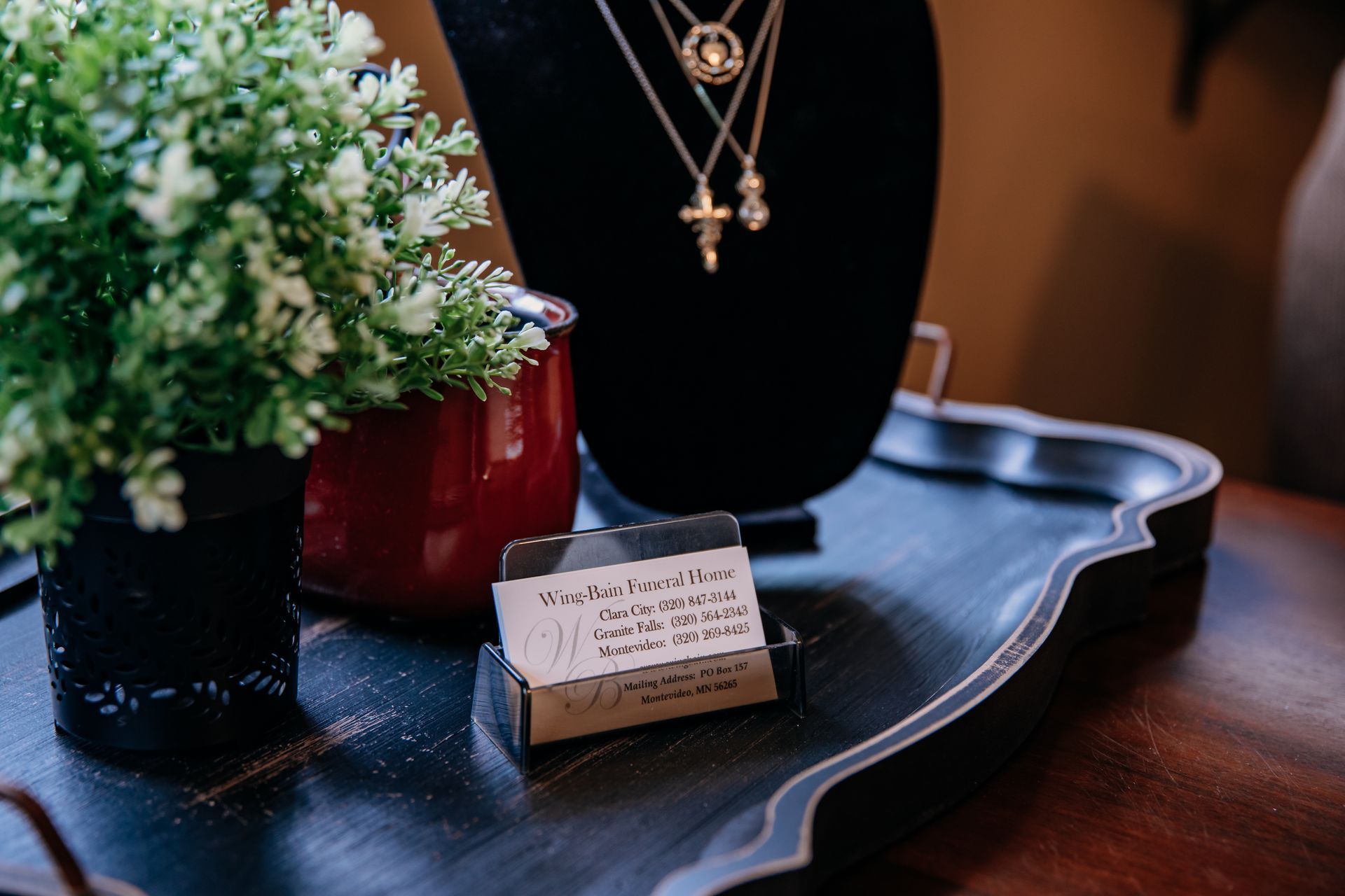 A tray with a necklace and a plant on it.