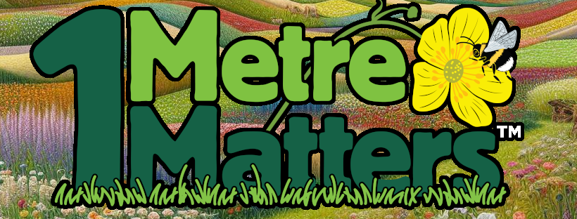 On the Verge 1 Metre Matters logo