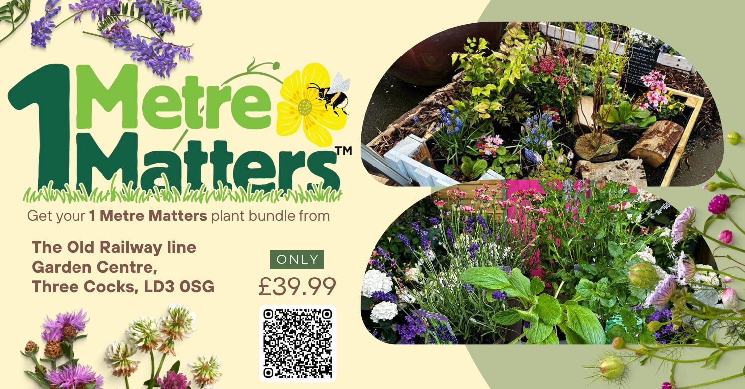 1 Metre Matters Plant Package at the Old Railway Garden Centre