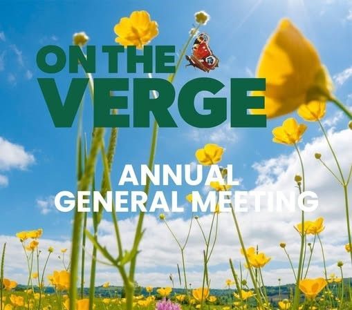 On The Verge AGM 