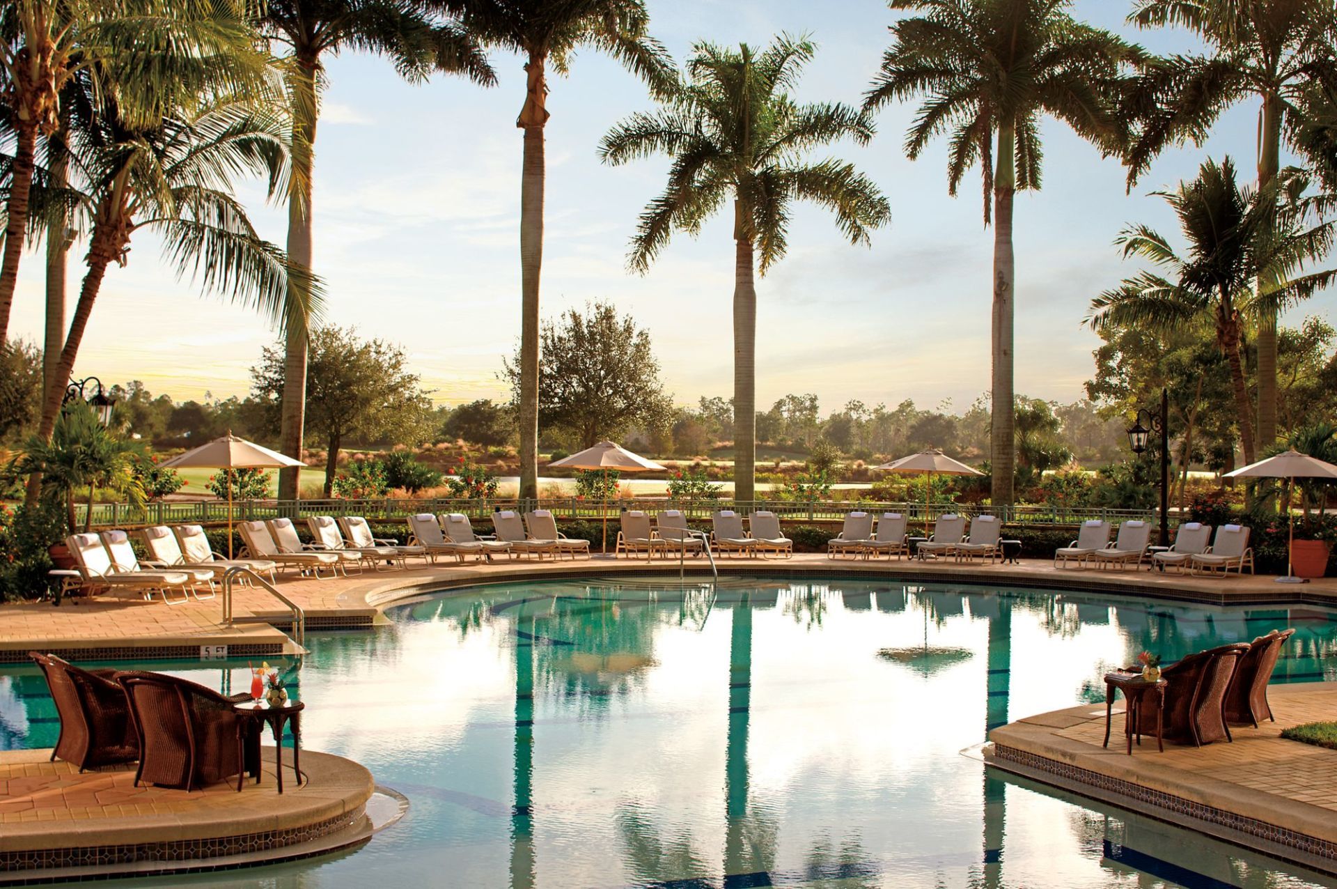 A large swimming pool surrounded by palm trees and chairs