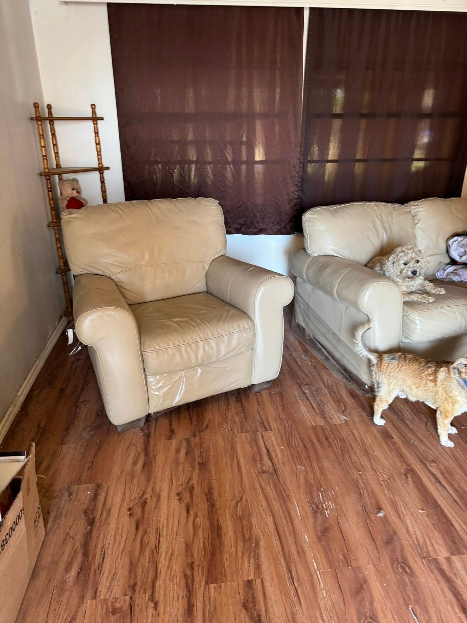 Beige leather armchair and sofa in a room with a wooden floor, and a dog.