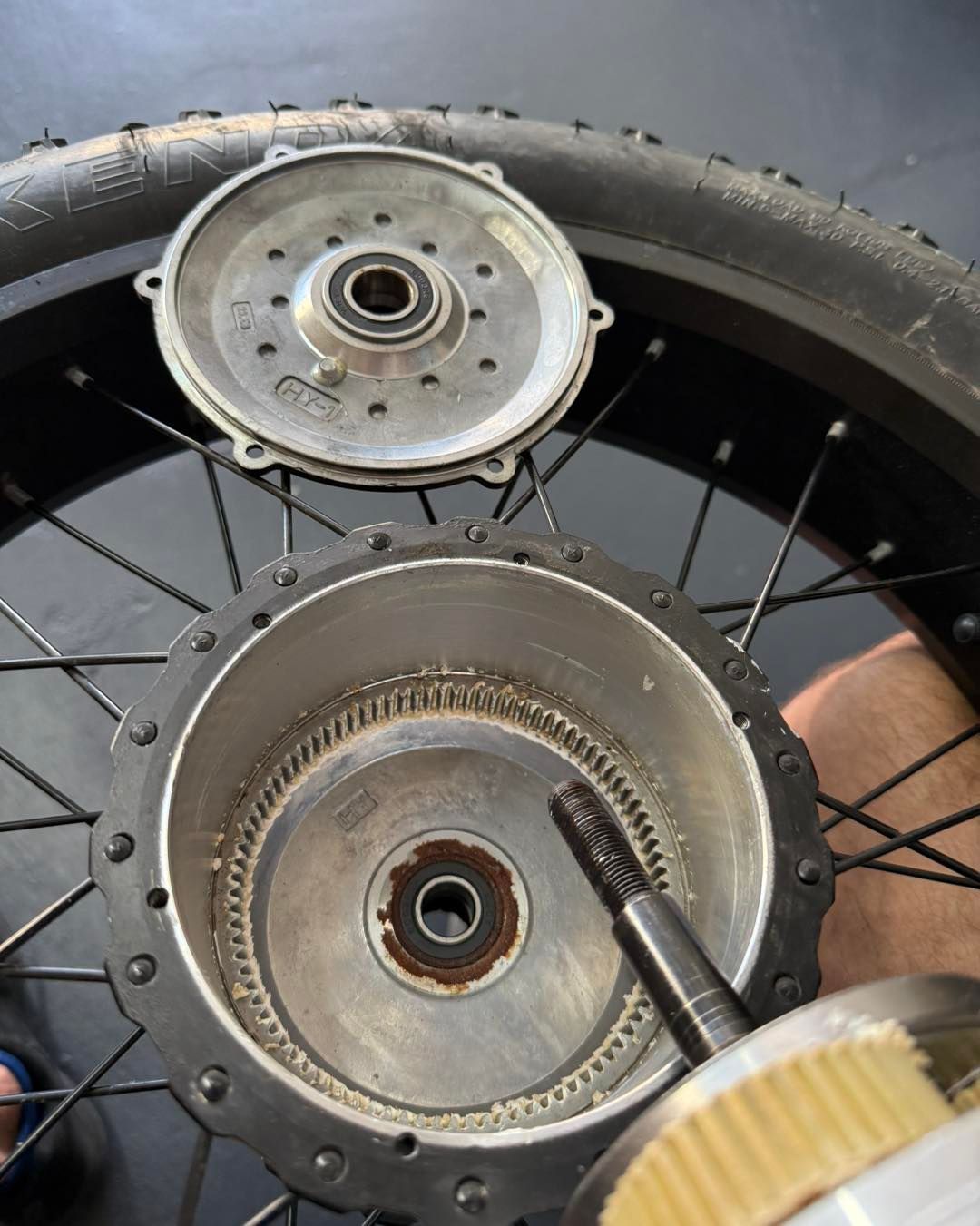 Disassembled Electric Bike Wheel Hub, Exposing Gears, Bearing, and Motor Components — E-Go-Try-Bikes in Nelson Bay, NSW