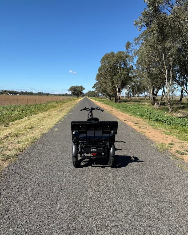Black Tricycle With Cargo Basket — E-Go-Try-Bikes in Nelson Bay, NSW