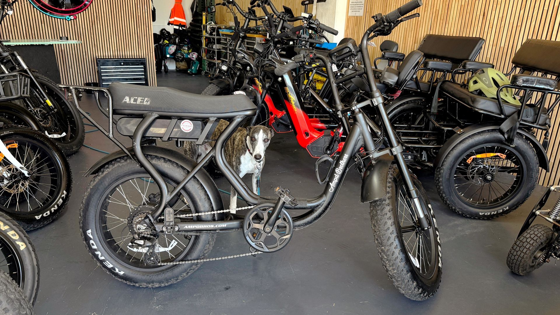 Amped Bros Ace S — E-Go-Try-Bikes in Nelson Bay, NSW