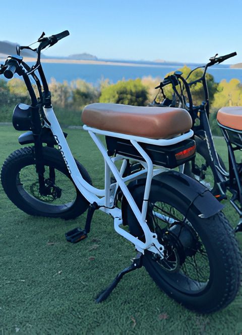White and Black Electric Bike With Brown Seat on a Grassy Lawn Near Water — E-Go-Try-Bikes in Nelson Bay, NSW