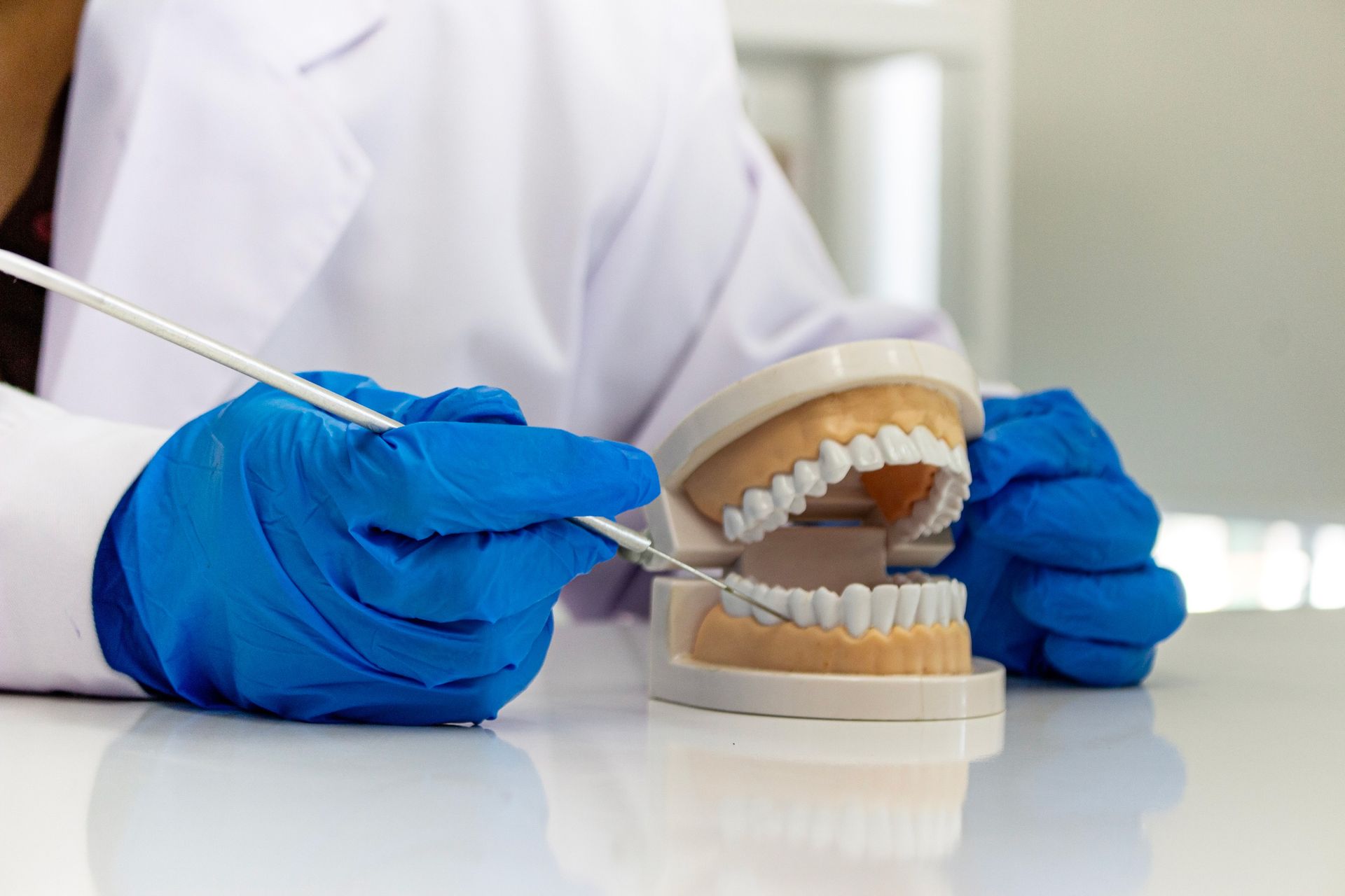 Dentist is explaining denture care using a model.