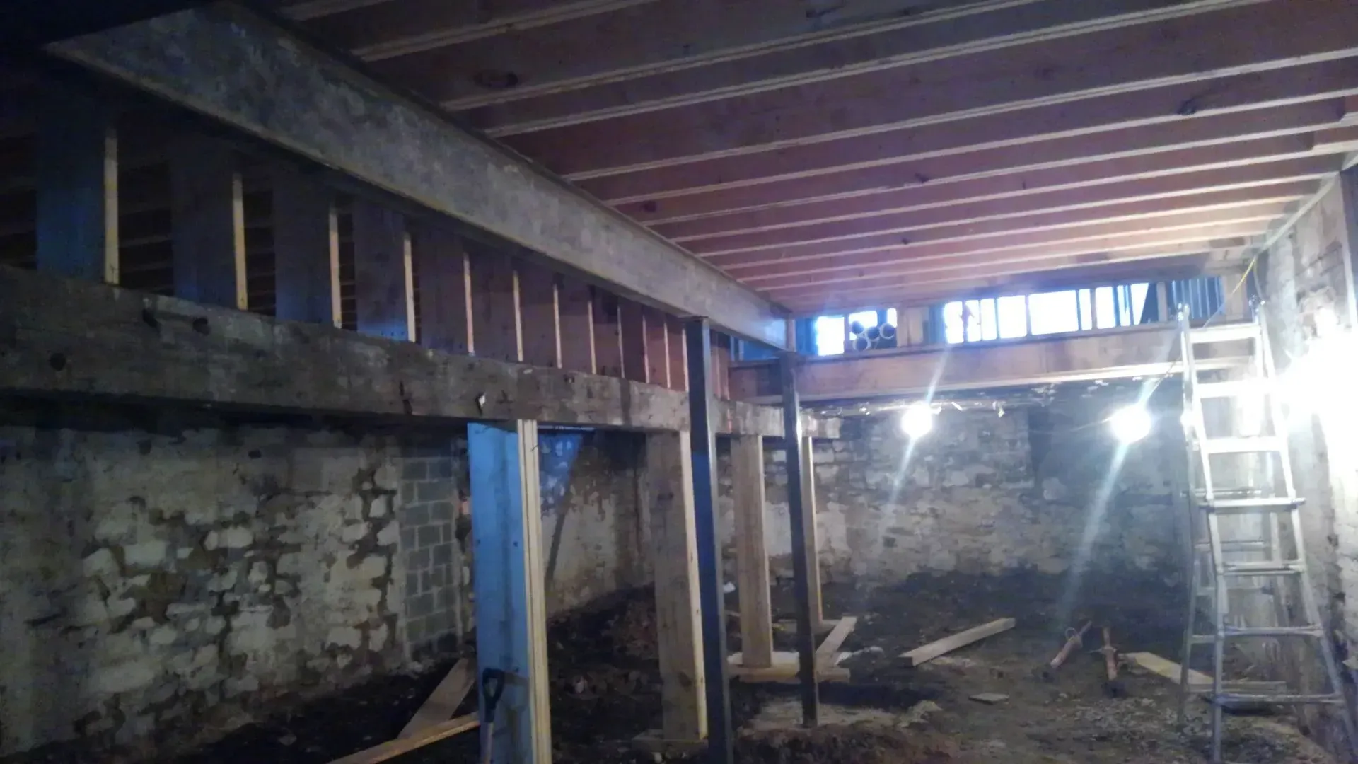 A dark basement with a wooden floor and a ladder.