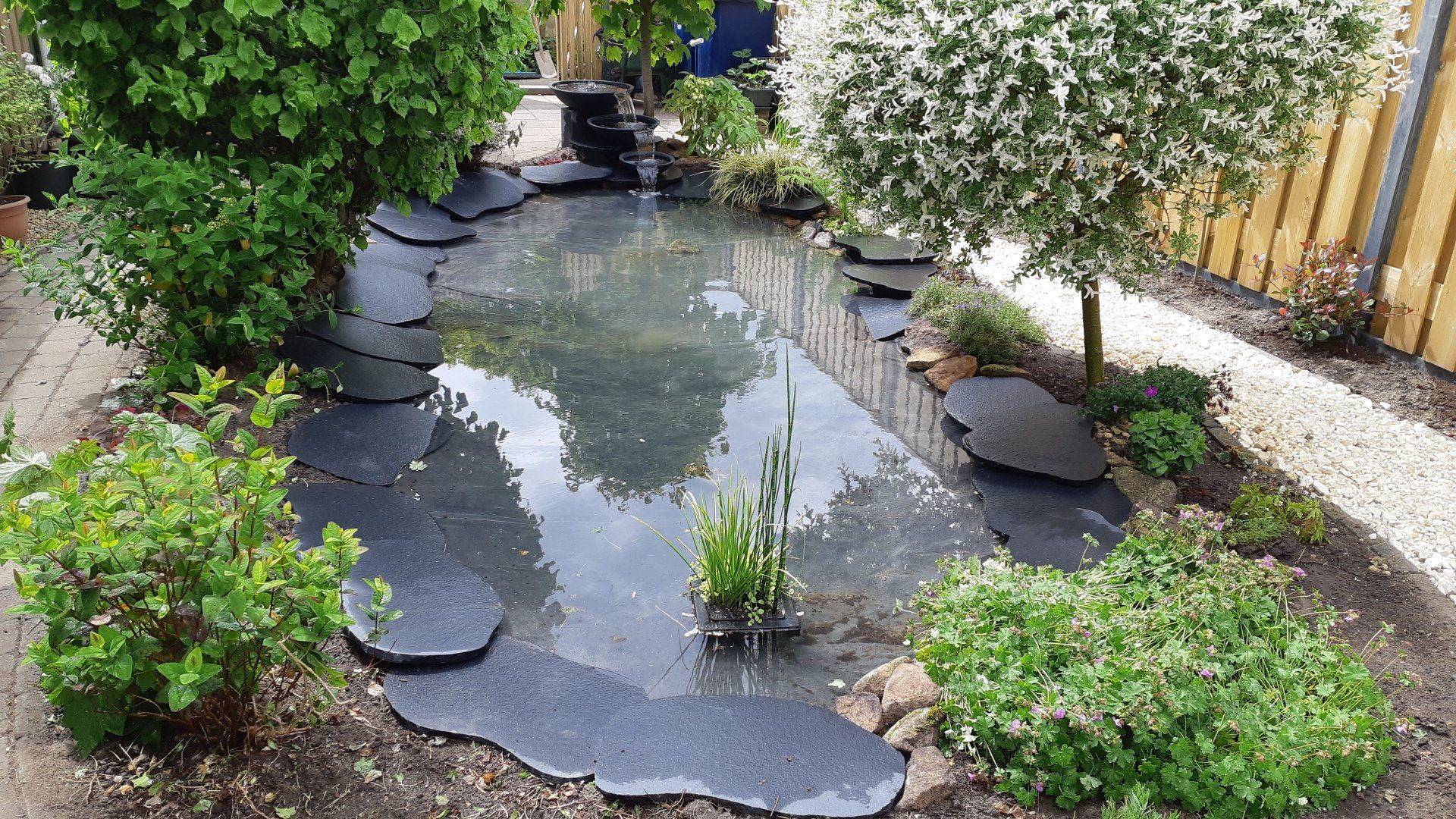 Een kleine vijver omringd door bomen en rotsen in een tuin.