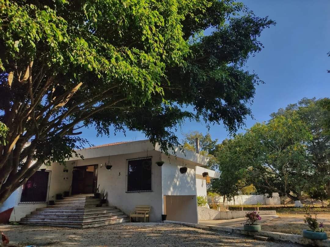 Una casa blanca con un árbol frente a ella.