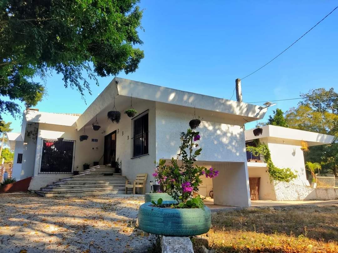 Una casa blanca con una maceta delante