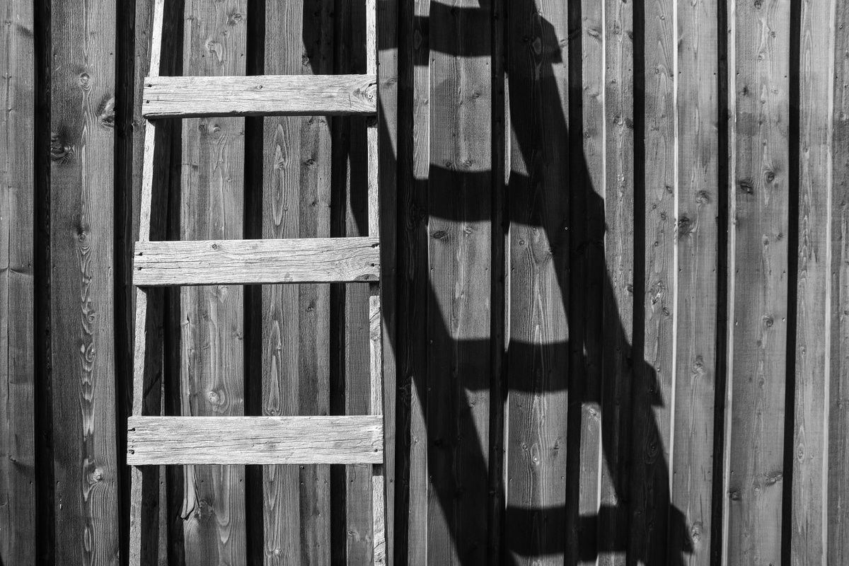 A black and white photo of a wooden ladder casting a shadow on a wooden wall.