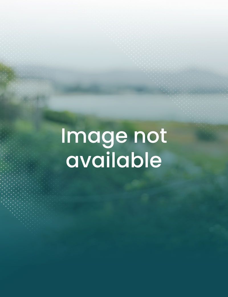 Blurred background of a waterscape with a building on the shoreline. Text overlay: Image not available.