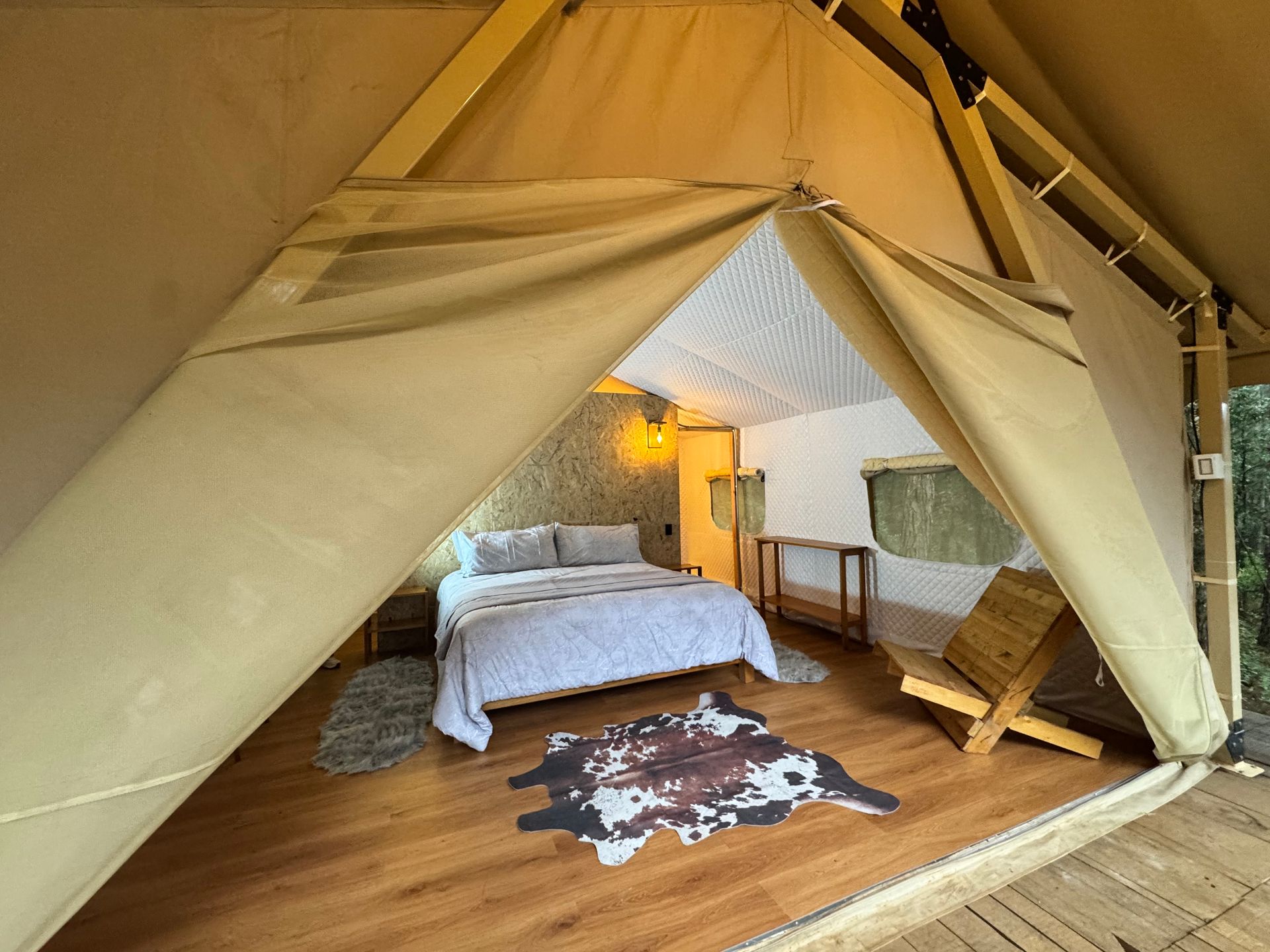a stream of water is flowing over rocks and a tree branch .
