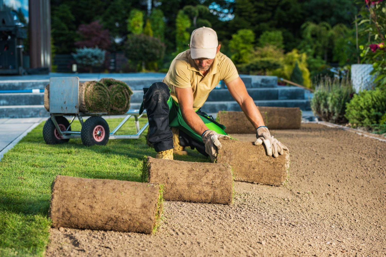 A man is rolling up rolls of turf in a garden.