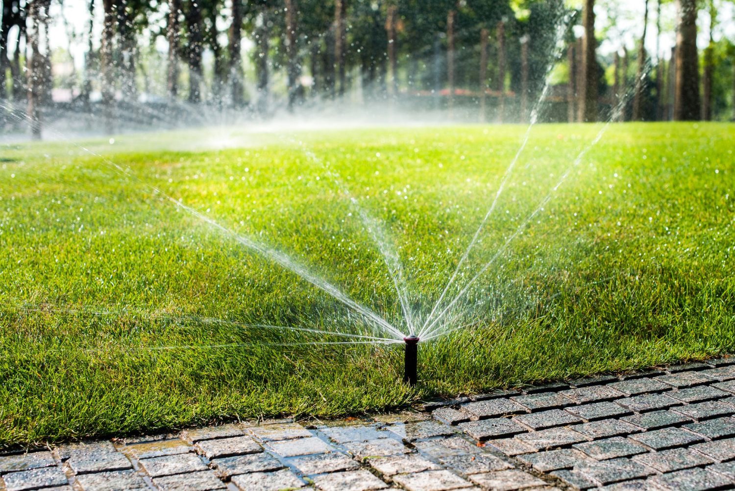 A lawn sprinkler is spraying water on a lush green lawn.