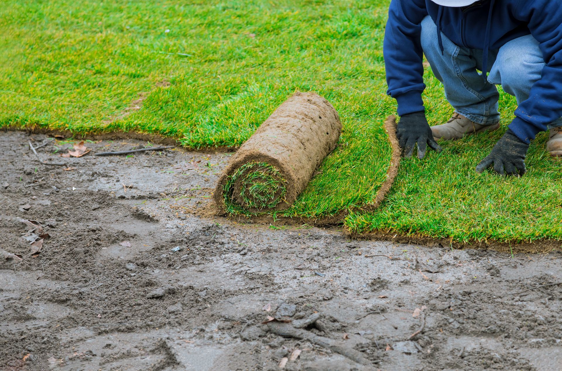 Person laying sod roll on muddy ground.