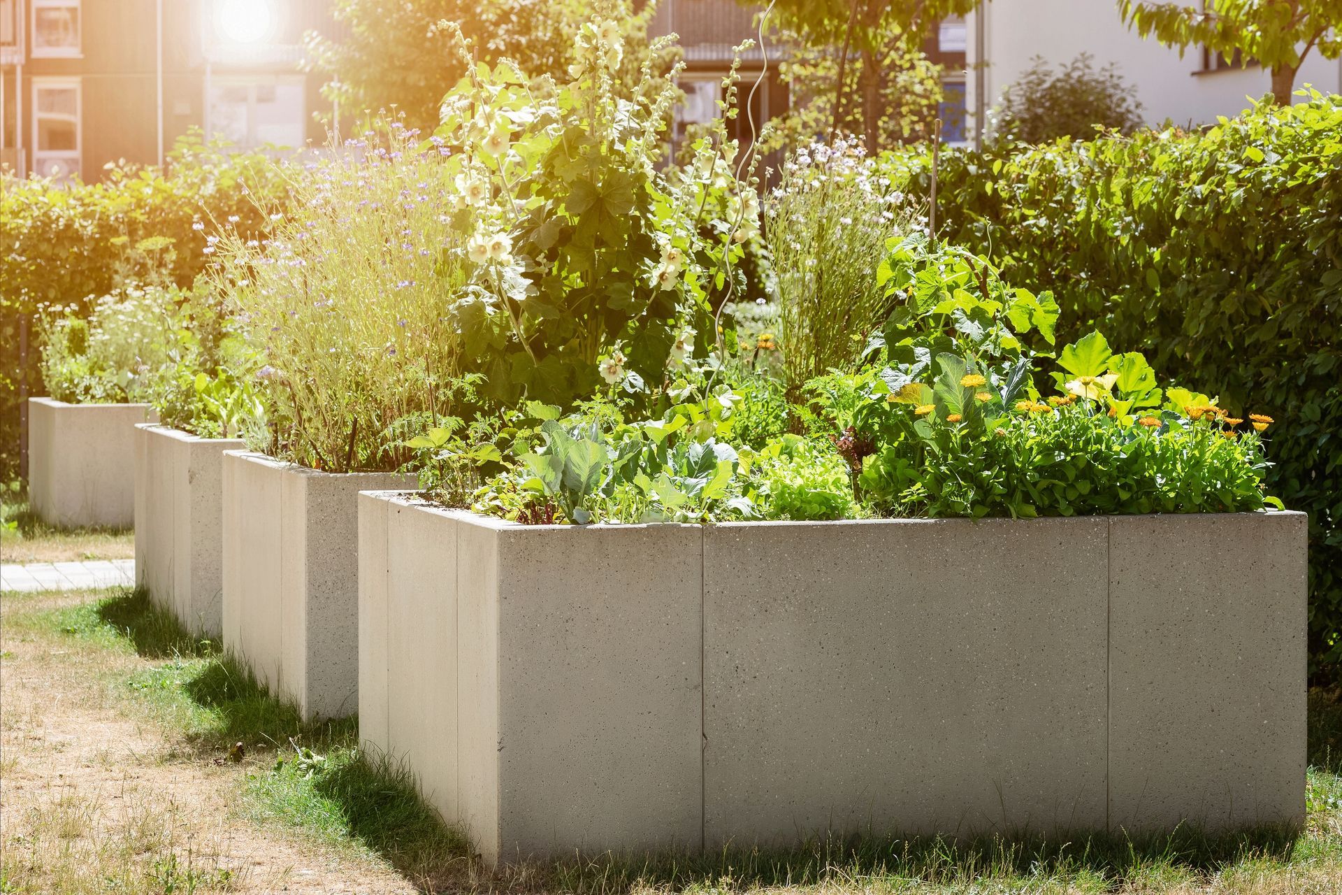 A row of concrete planters filled with plants in a garden.