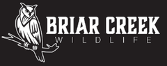 Black logo with owl on a branch to the left and 