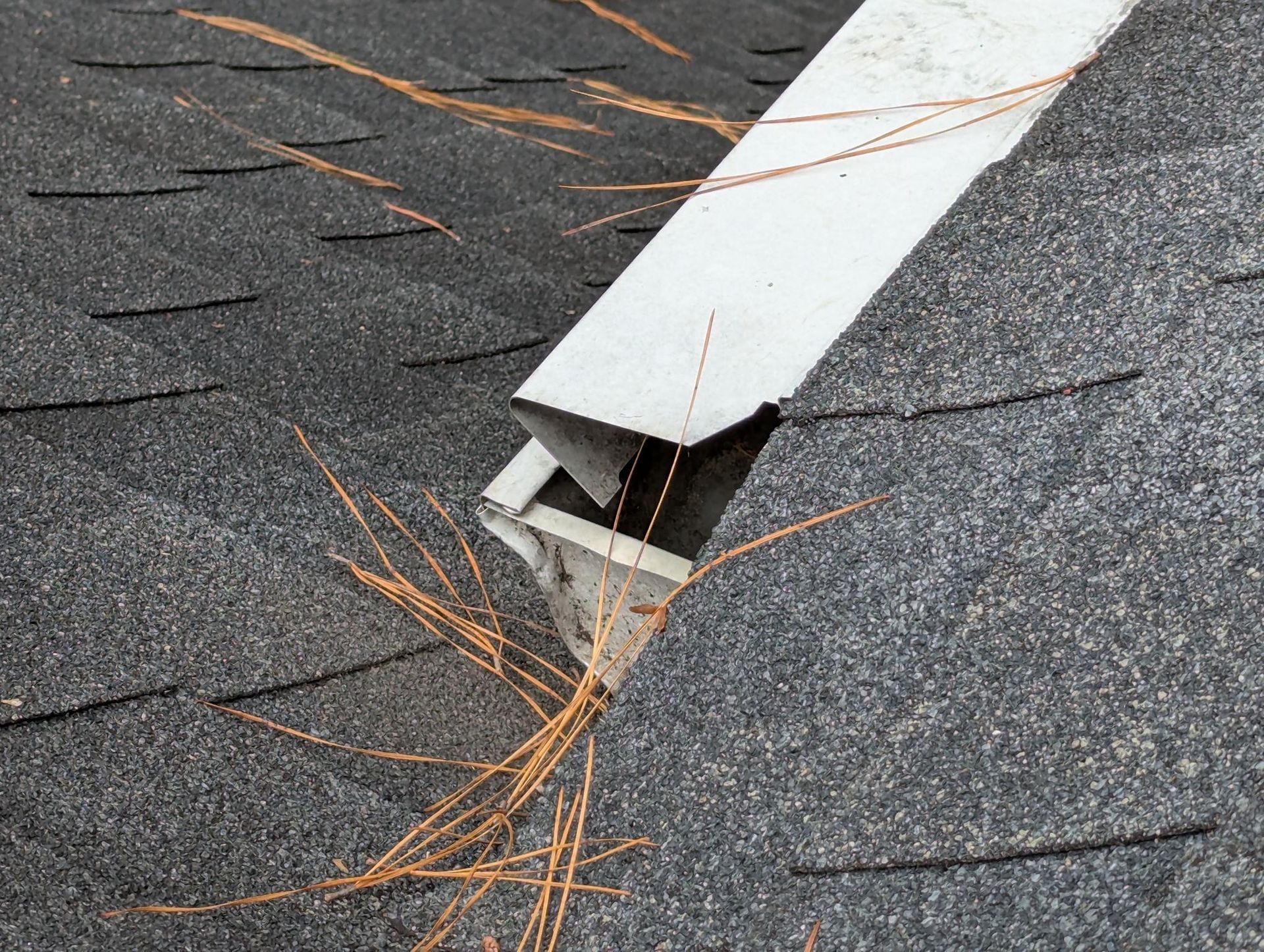Copperhead snake camouflaged in brown leaves.