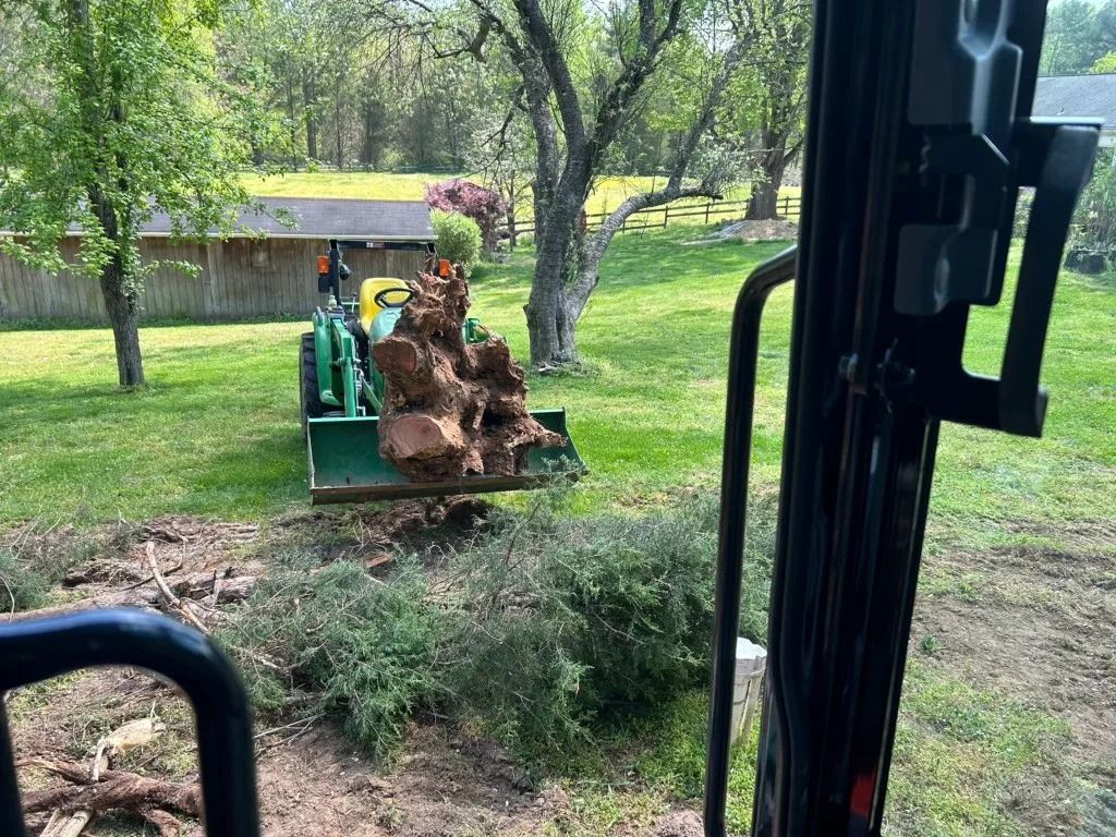 hauling tree trunk after being removed in Southern MD