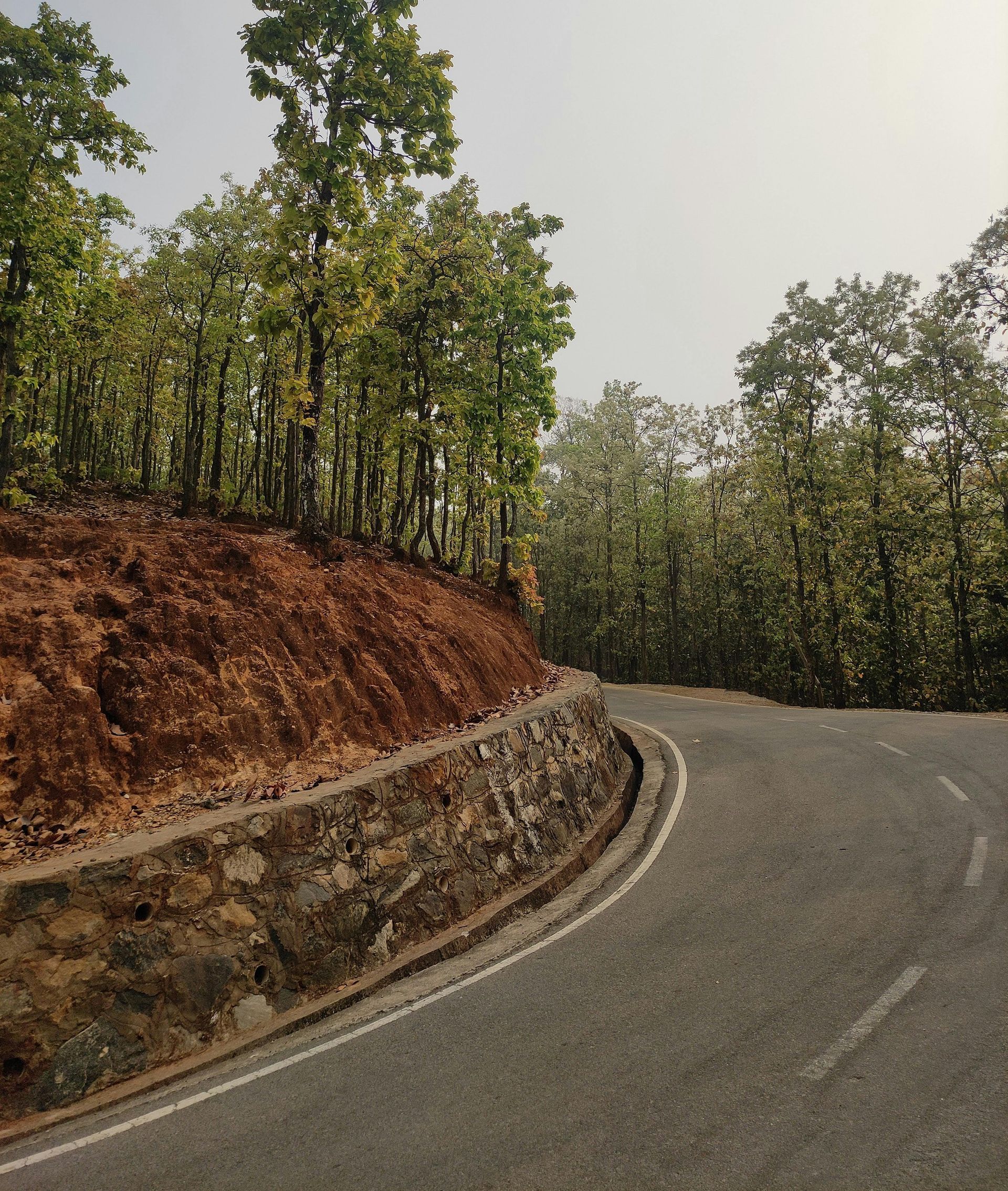 Erosion Control Services Shown in Southern MD