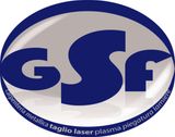 G.S.F. - LOGO