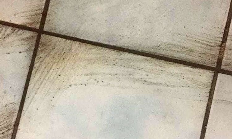 Tile and grout — Residential Cleaning in Mulwala, NSW