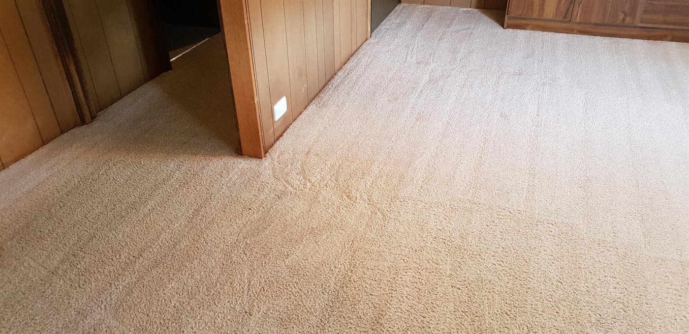 Carpet 2 — Cleaning Projects in Mulwala, NSW