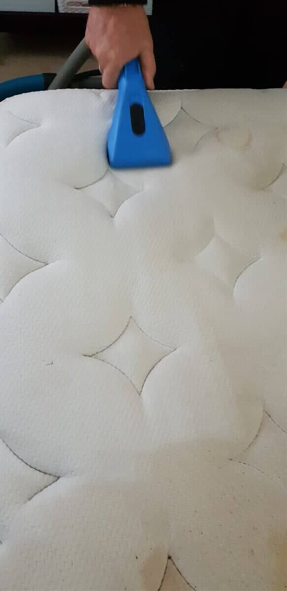 Upholstery cleaning — Cleaning Projects in Mulwala, NSW