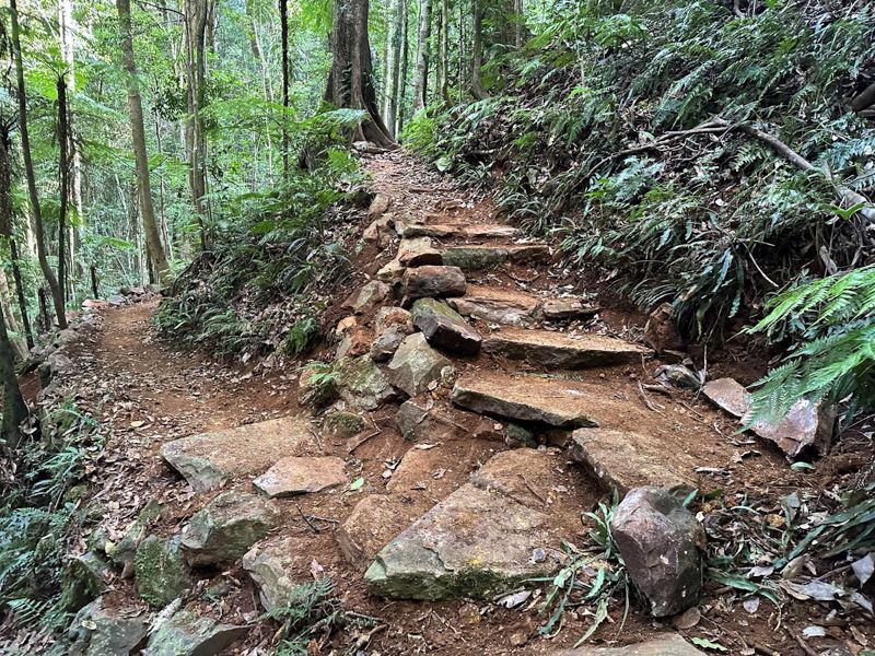 A path in the woods with rocks and steps.