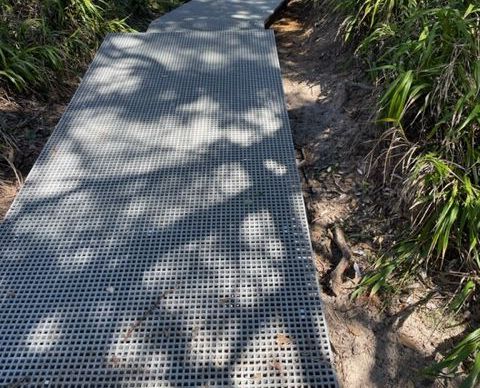 A metal walkway going through a lush green forest.