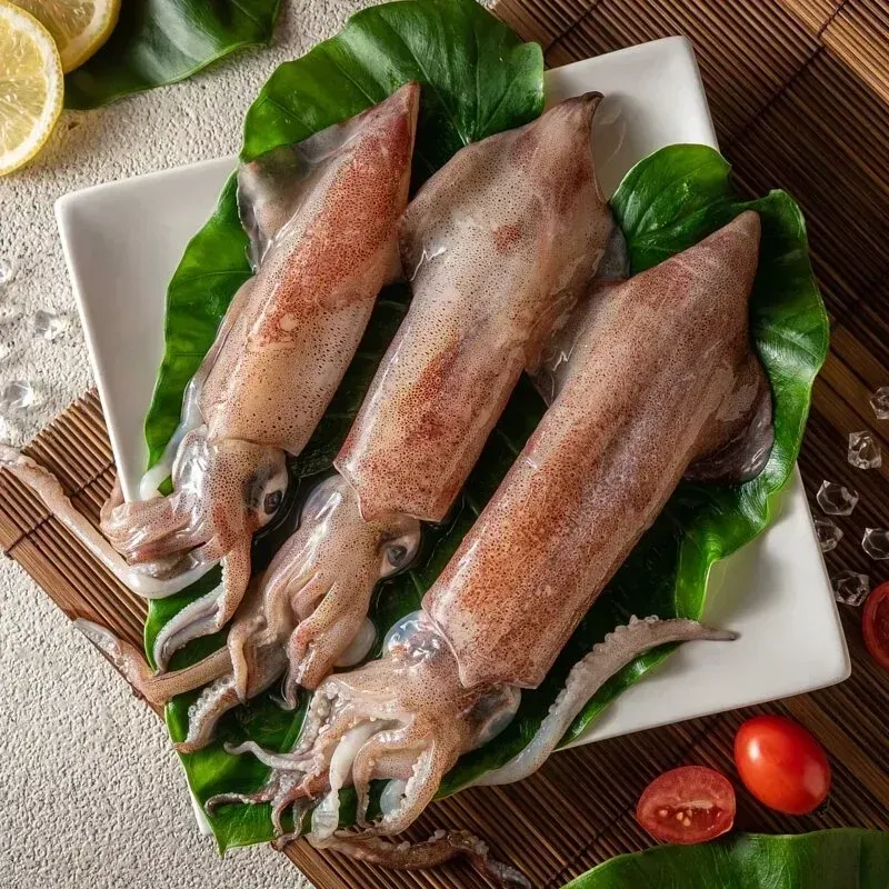 【漁仁嚴選】基隆船釣活凍中卷/3隻/450g