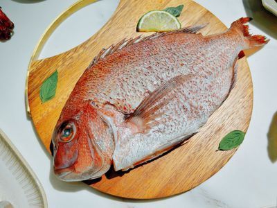 宜蘭．冷凍鮮魚