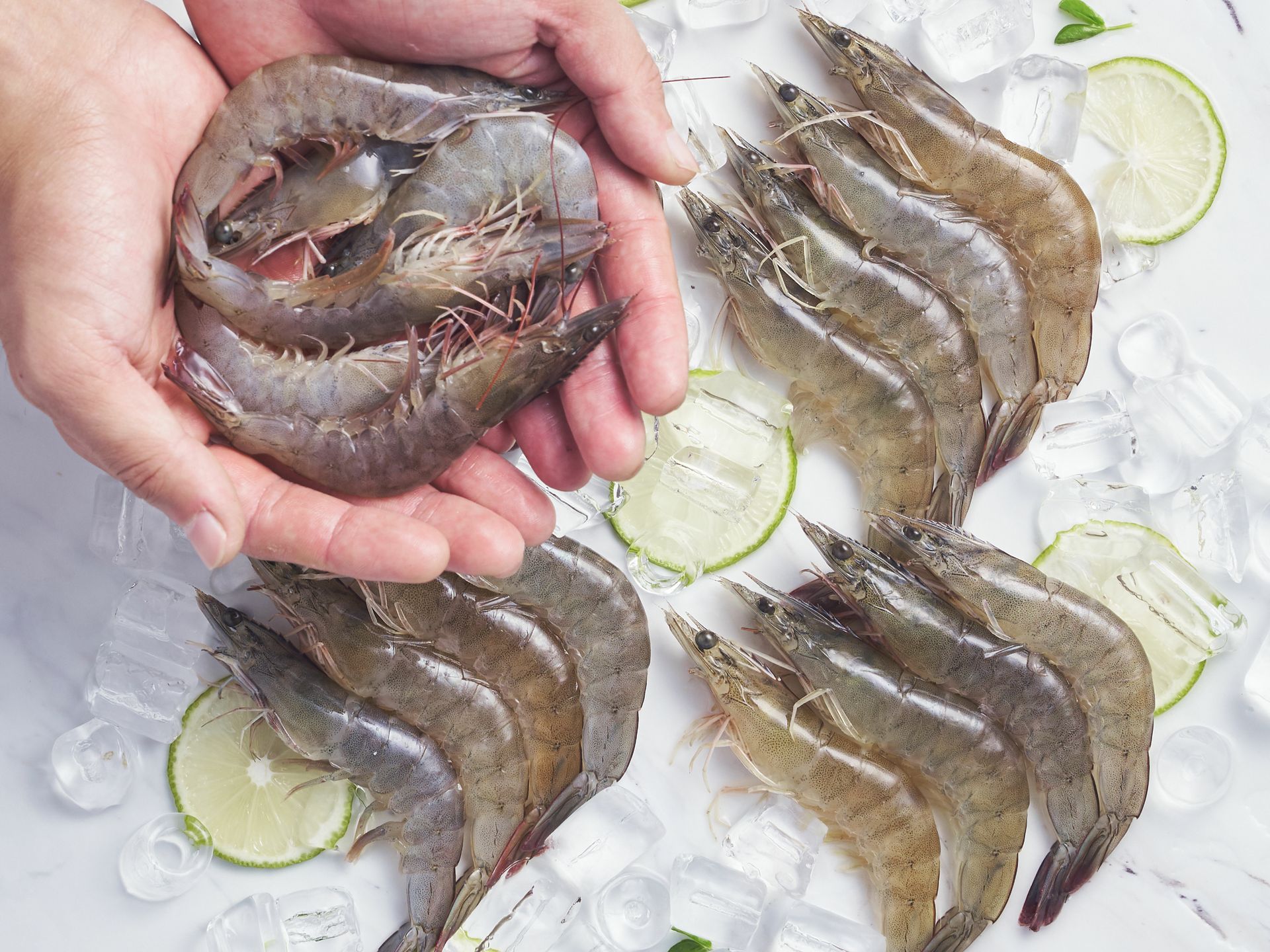 「總之歲月漫長，然而值得等待」是日本小說家－村上春樹在書中描述威士忌經過長時間淬鍊後，才能成就風味所寫的美妙文字。如果他吃過漁仁蝦想必也會有這種感覺吧！