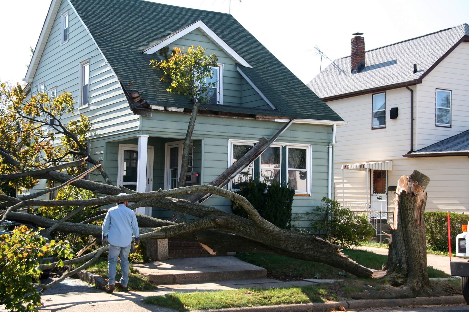 10 warning signs your tree may endanger your home inspected by SYS Enterprises in Charlestown, IN