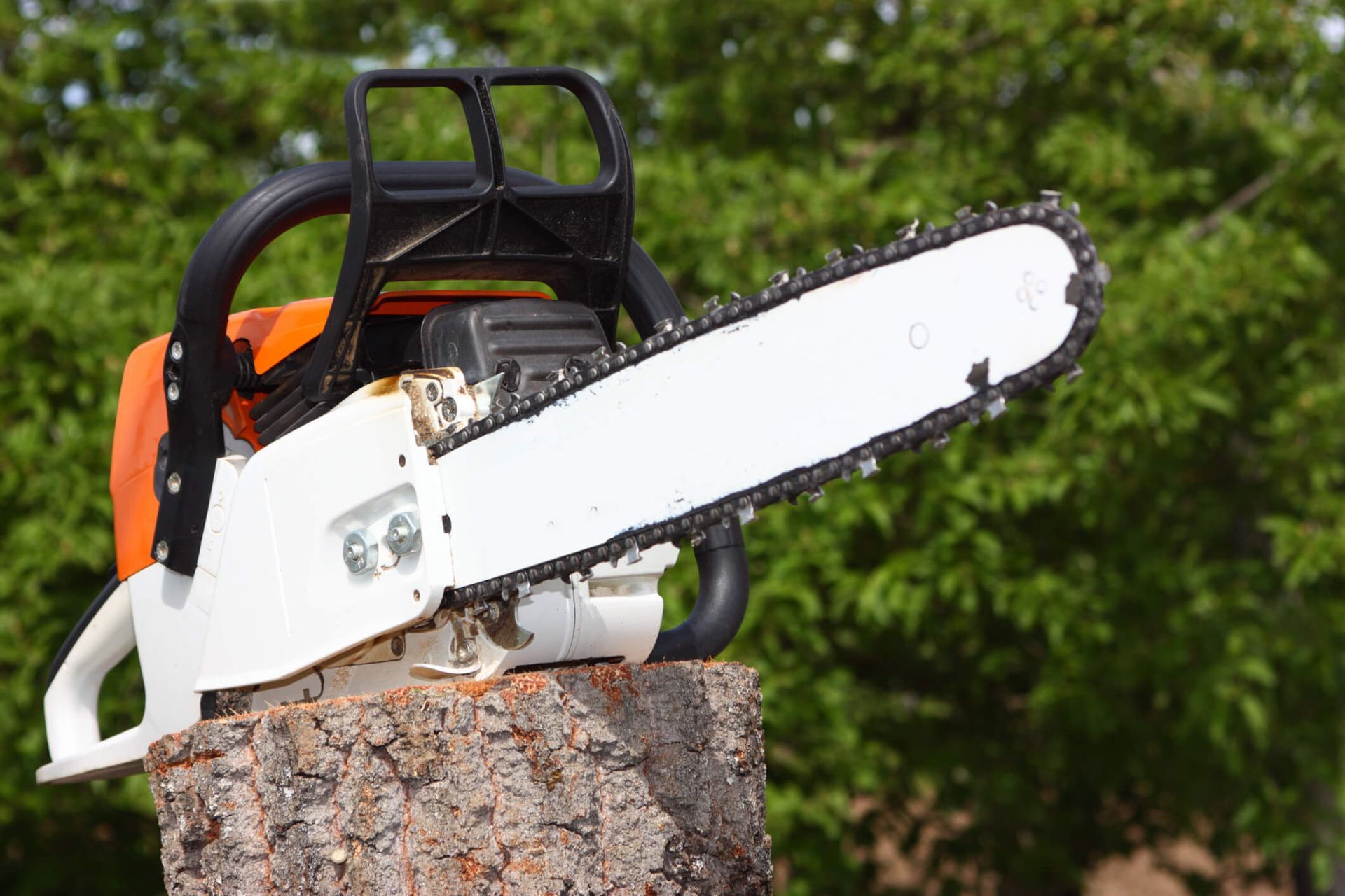Chainsaw safety demonstration for homeowners by SYS Enterprises in Charlestown, Indiana
