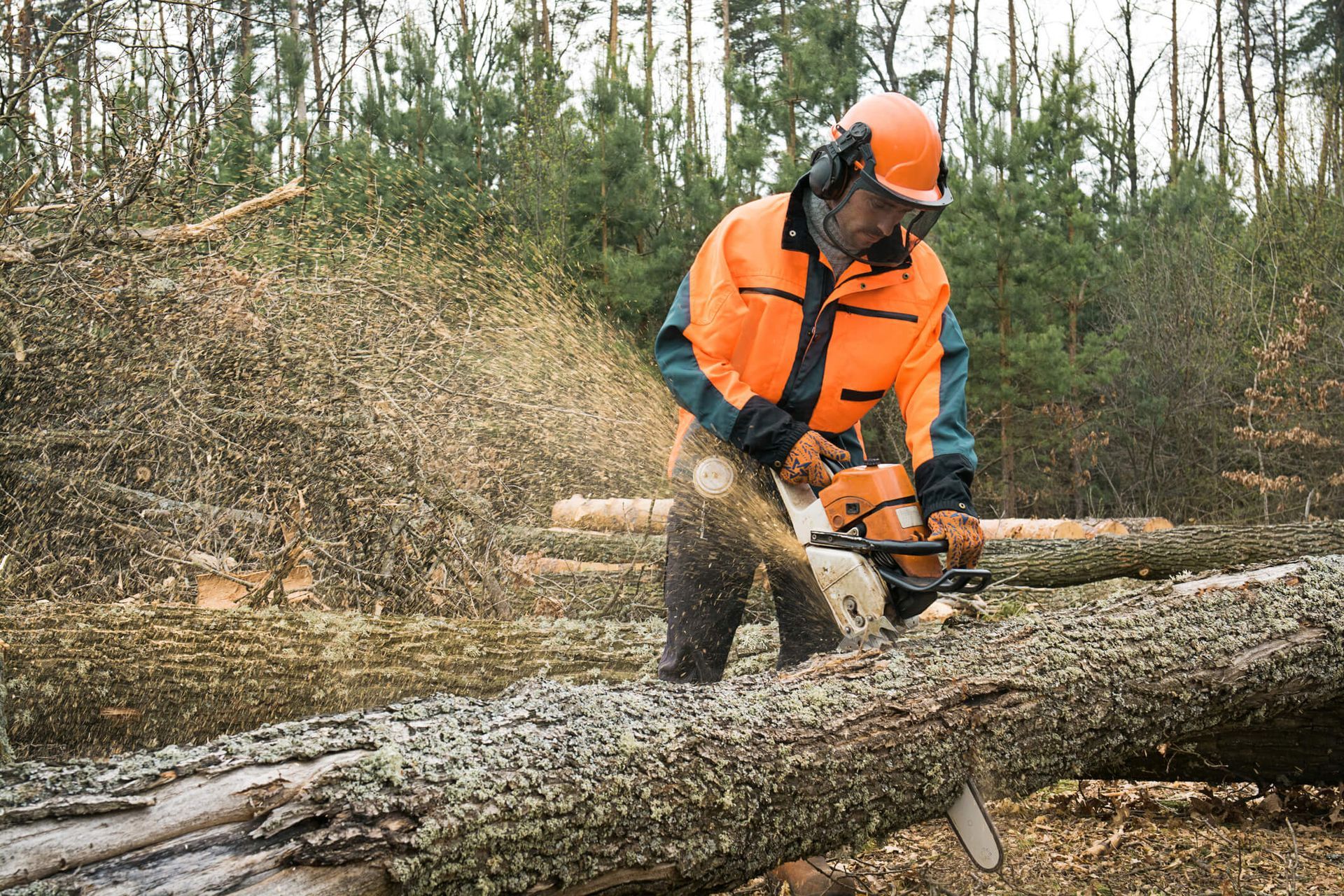 A homeowner learning chainsaw safety tips from SYS Enterprises in Charlestown, Indiana
