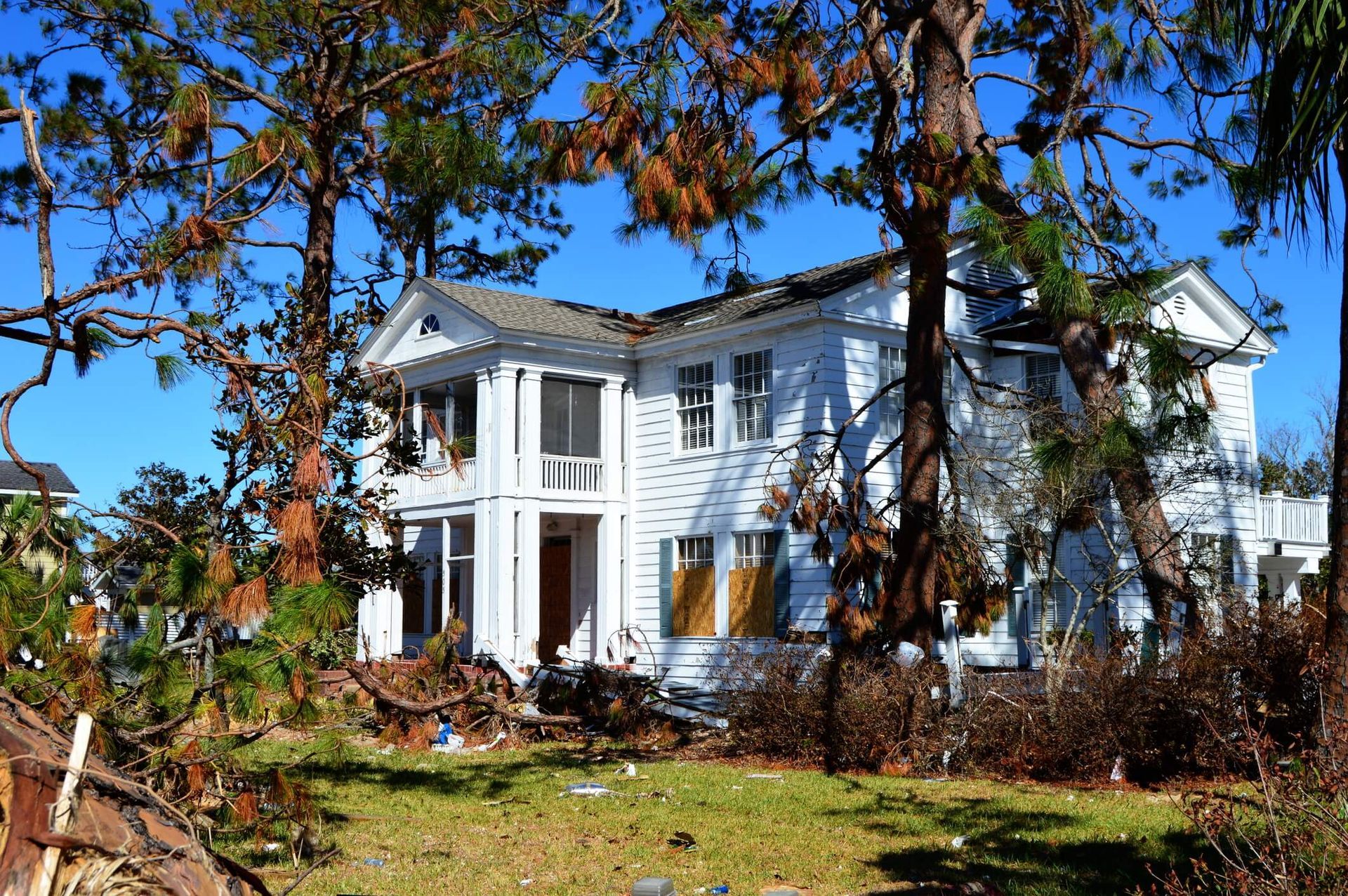 Expert assessment by SYS Enterprises in Charlestown Indiana to detect trees that are unsafe and require removal before causing damage.