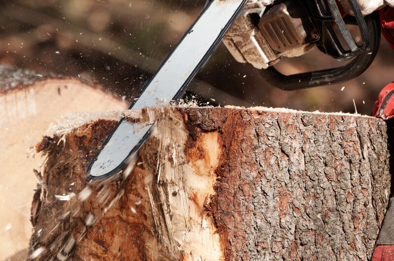 Step-by-step tree stump removal guide by SYS Enterprises in Charlestown Indiana to safely .