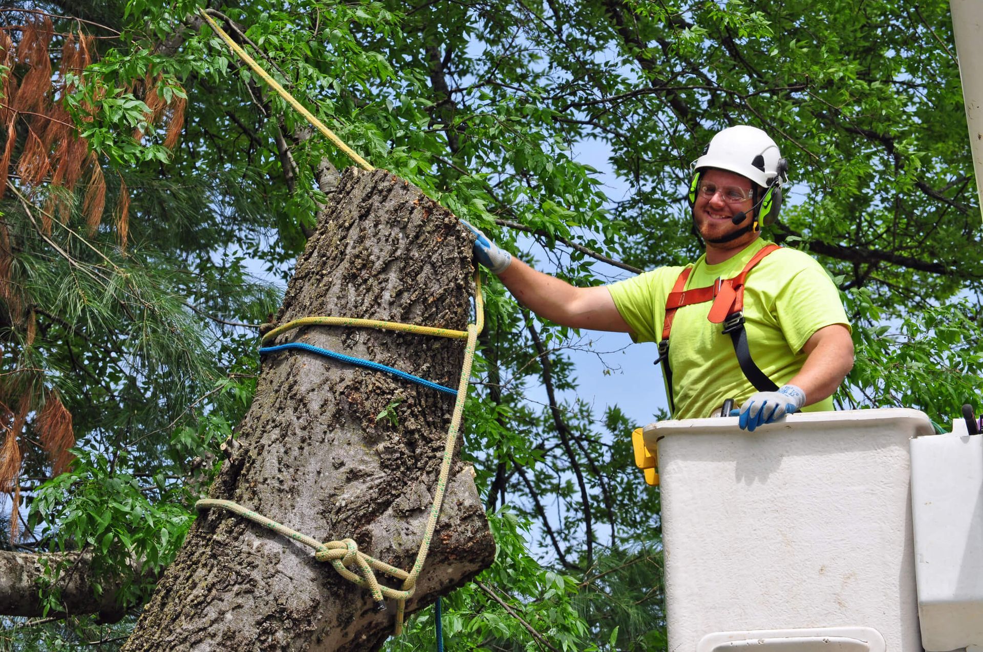 SYS Enterprises team repairing a lawn in Charlestown, Indiana, after tree removal, focusing on removing debris, leveling the soil, and reseeding for a lush lawn.