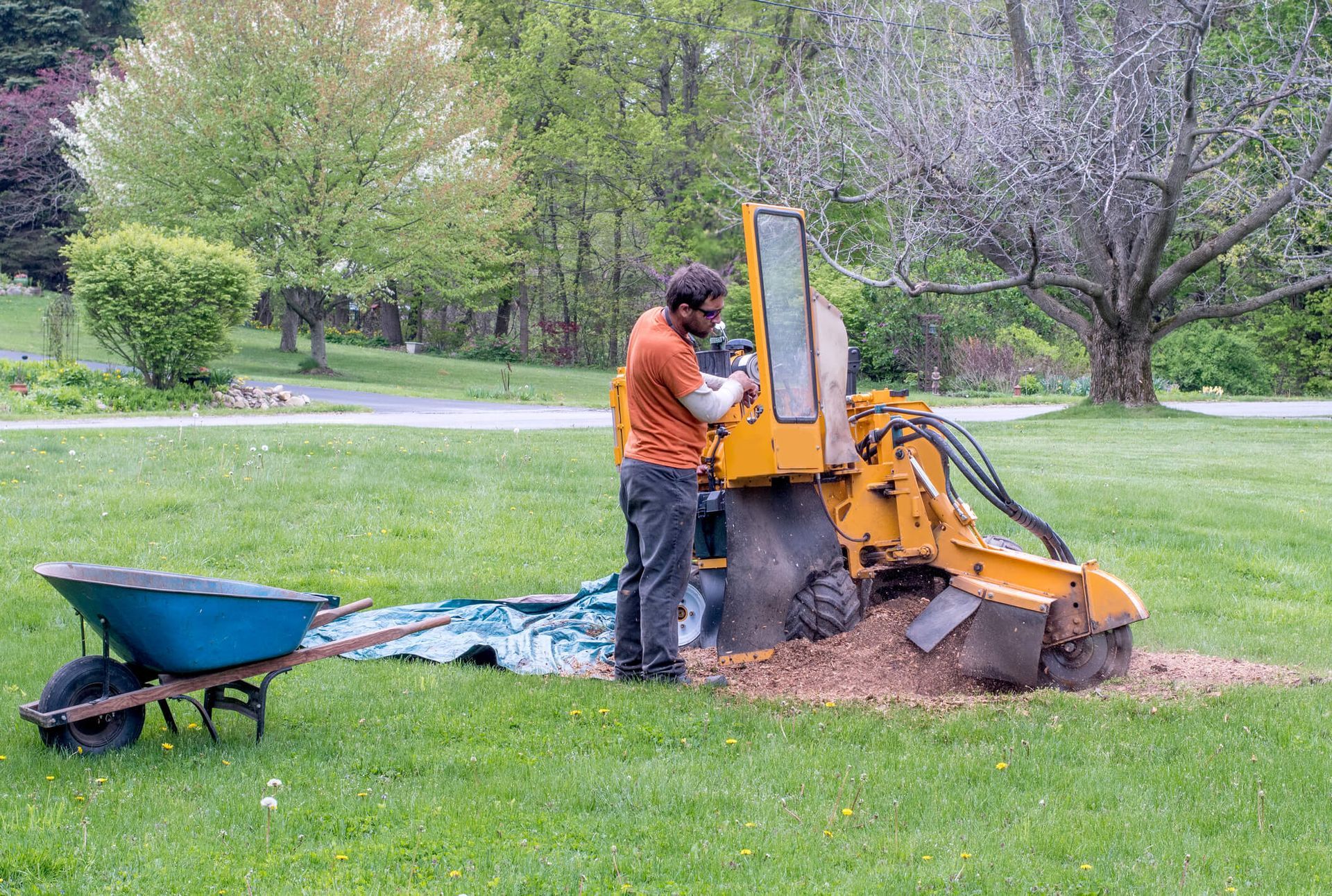 SYS Enterprises team operating a stump grinder in Charlestown, Indiana, showing the correct procedure for grinding down a tree stump.